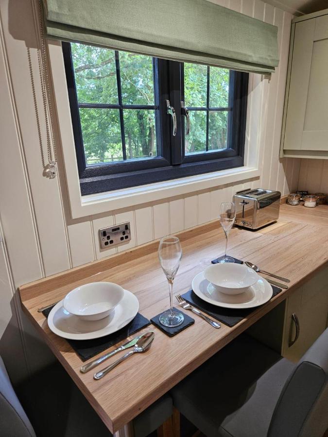 Woodland Shepherds Hut - 'Saga' 카나번 외부 사진
