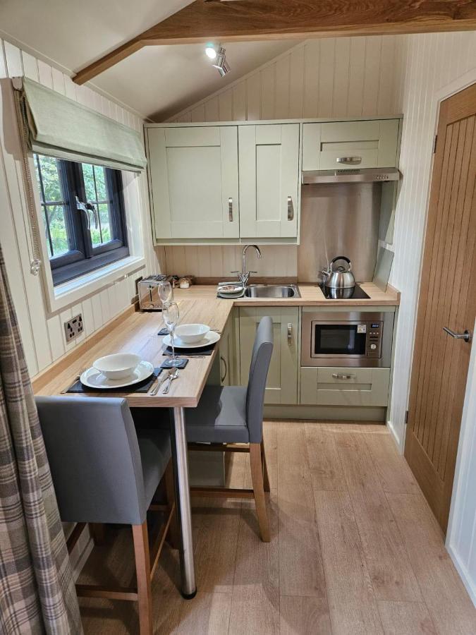 Woodland Shepherds Hut - 'Saga' 카나번 외부 사진