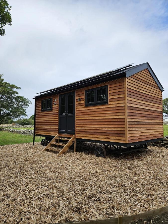 Woodland Shepherds Hut - 'Saga' 카나번 외부 사진