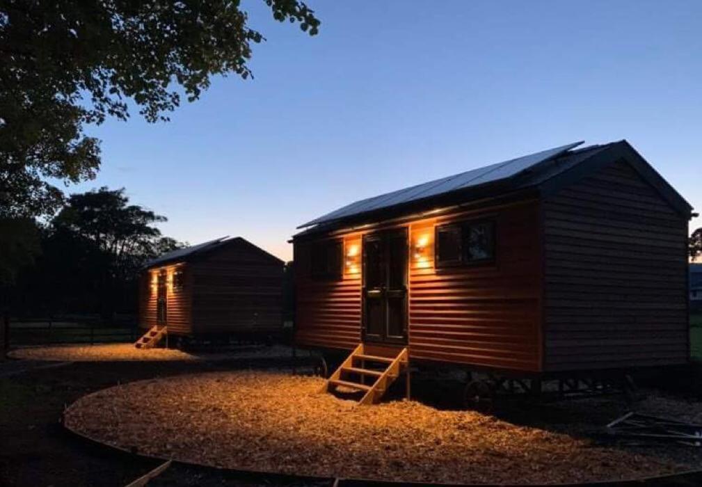 Woodland Shepherds Hut - 'Saga' 카나번 외부 사진